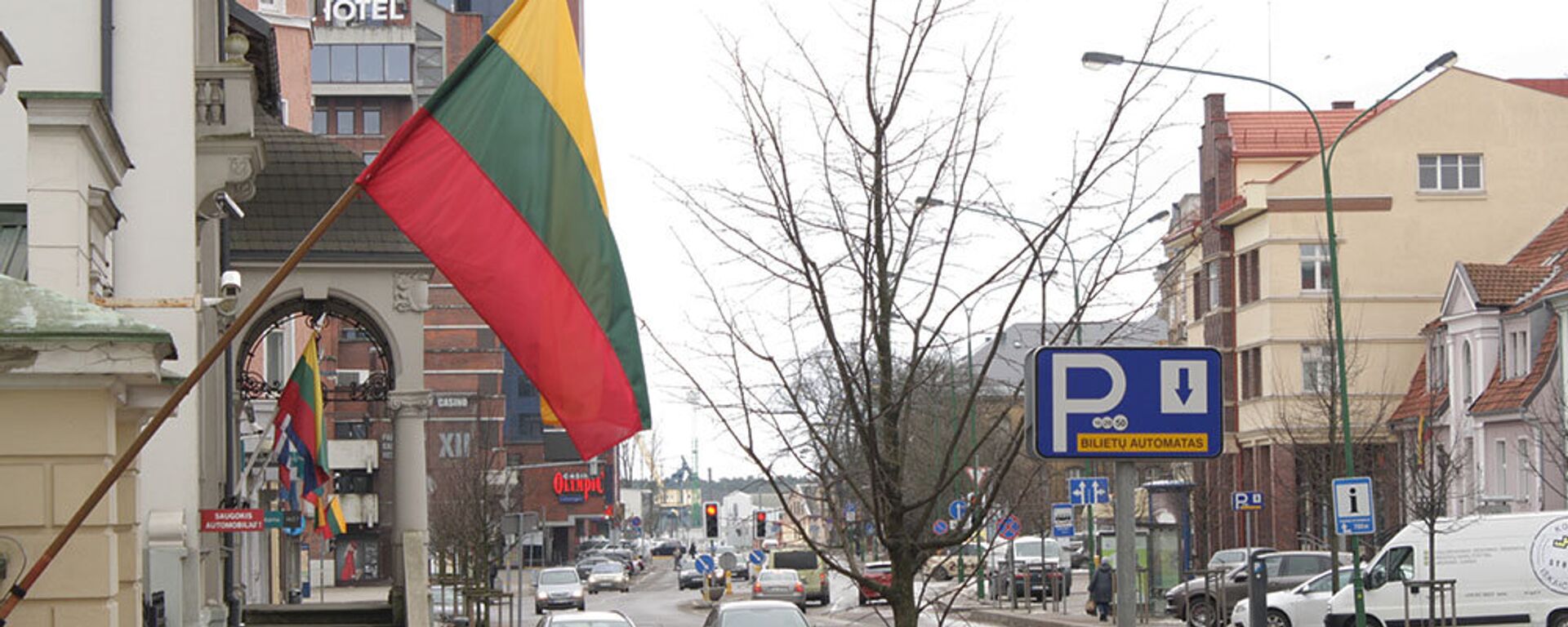 Государственные флаги Литвы украшают дома на улице Лепу в Клайпеде - Sputnik Lietuva, 1920, 04.03.2020