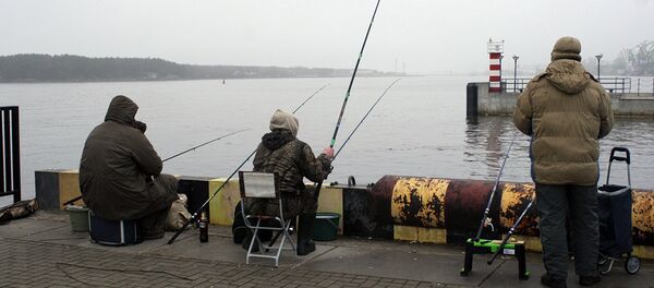 Рыбаки на пирсе Клайпеды Рыбаки на пирсе Клайпеды - Sputnik Lietuva