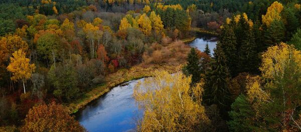 Осенний вид - Sputnik Литва