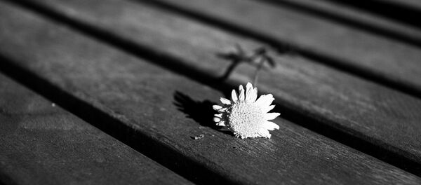 Цветок Цветок - Sputnik Lietuva