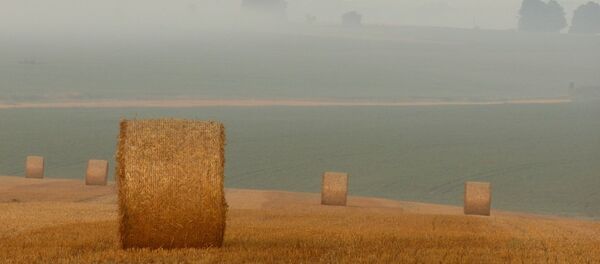 Šienas - Sputnik Lietuva