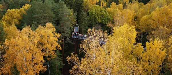 Аникщяйский региональный парк Аникщяйский региональный парк - Sputnik Lietuva