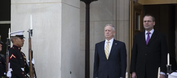 Министр обороны США Джеймс Маттис и министр обороны Финляндии Юсси Ниинисте - Sputnik Литва
