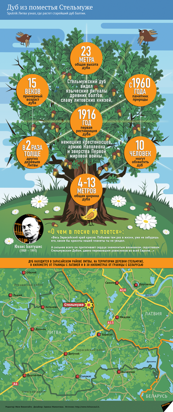 Дуб из поместья Стельмуже Дуб из поместья Стельмуже - Sputnik Литва