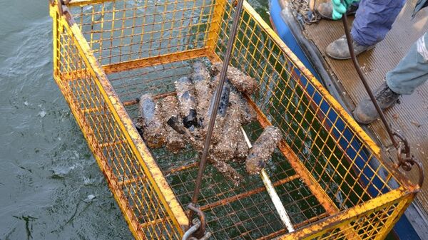 Снаряды времен ВОВ на дне Балтийского моря Снаряды времен ВОВ на дне Балтийского моря - Sputnik Литва