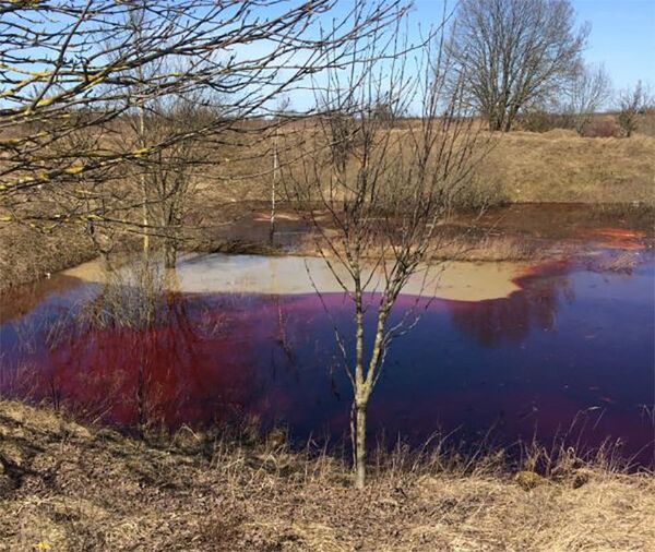 Загрязненный водоем Загрязненный водоем - Sputnik Литва