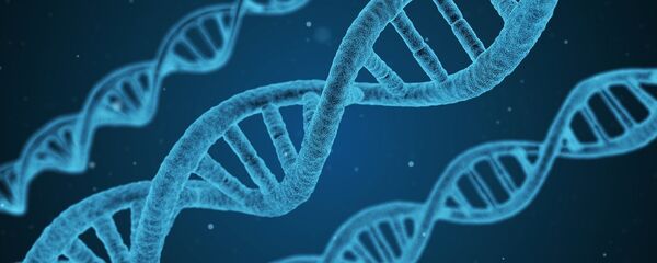 ДНК - Sputnik Литва