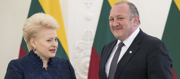 Даля Грибаускайте и Георгий Маргвелашвили - Sputnik Литва
