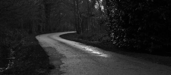 Дорога в лес Дорога в лес - Sputnik Lietuva