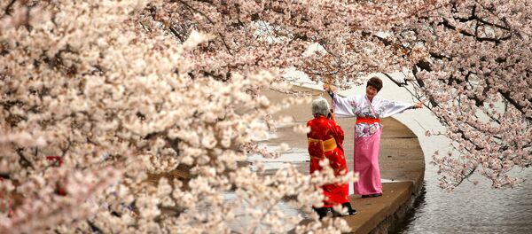 Женщины в кимоно фотографируются под цветущей сакурой Женщины в кимоно фотографируются под цветущей сакурой - Sputnik Lietuva