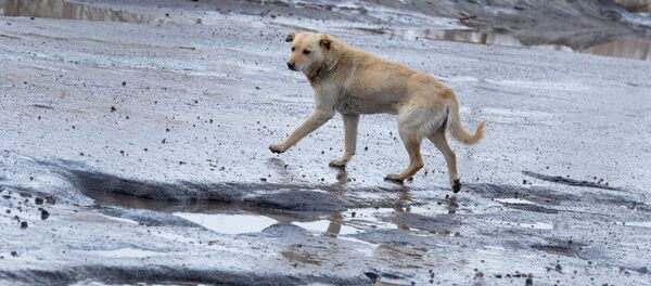 Разбитые дороги - Sputnik Литва