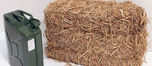 Биотопливо второго поколения - Sputnik Lietuva