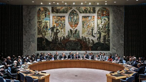 Совет Безопасности ООН, архивное фото - Sputnik Литва