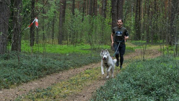 Бег с собаками - Sputnik Литва