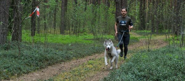 Бег с собаками Бег с собаками - Sputnik Lietuva