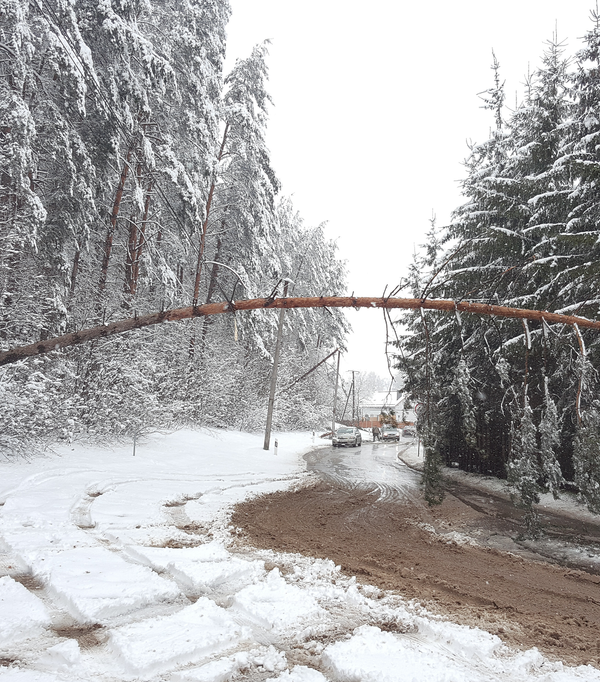 Последствия снегопада  - Sputnik Lietuva