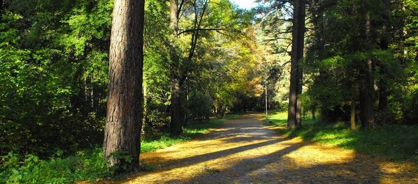 Vingio parkas Vingio parkas - Sputnik Lietuva