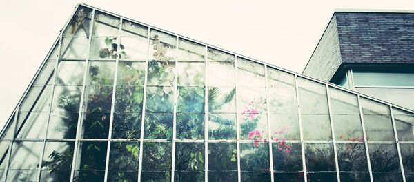 Теплица - Sputnik Литва