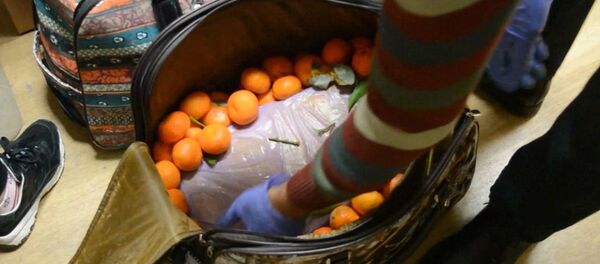 Задержана курьер наркотиков Задержана курьер наркотиков - Sputnik Lietuva