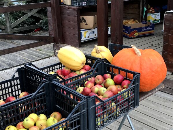 На рынке также можно приобрести овощи и фрукты с местных экологических фермерств - Sputnik Литва
