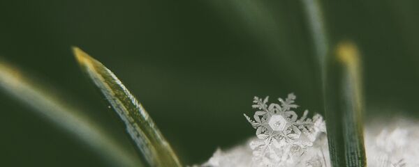 Снежинка Снежинка - Sputnik Lietuva