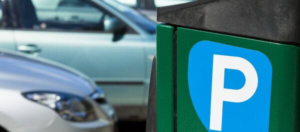 Знак платной парковки Знак платной парковки - Sputnik Lietuva