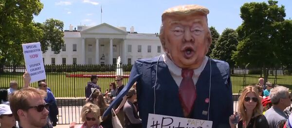 Протесты против Трампа Протесты против Трампа - Sputnik Lietuva