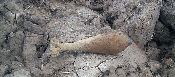 Мина Мина - Sputnik Литва