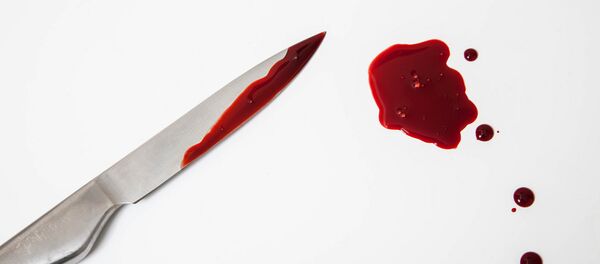 Нож и кровь Нож и кровь - Sputnik Литва