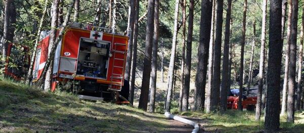 Ugniagesiai gesina gaisrą miške Ugniagesiai gesina gaisrą miške - Sputnik Lietuva