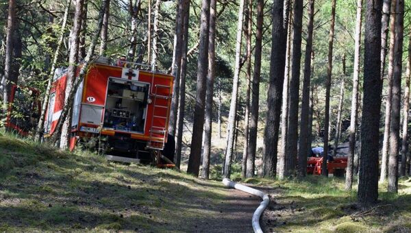 Ugniagesiai gesina gaisrą miške - Sputnik Lietuva