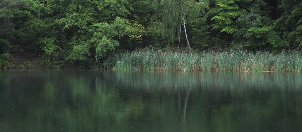 Зеленые озера в Вильнюсе Зеленые озера в Вильнюсе - Sputnik Lietuva