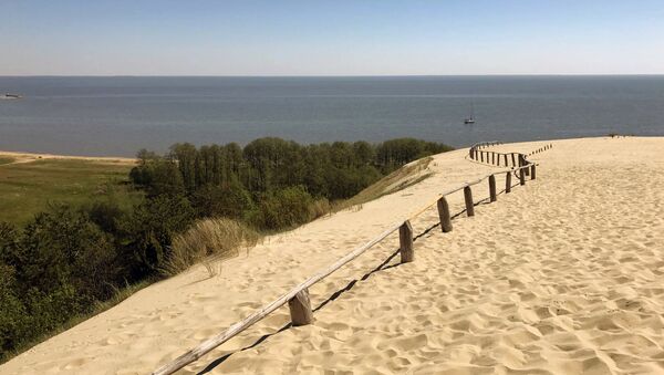 Вид с Живой дюны на Куршский залив, архивное фото - Sputnik Lietuva