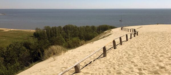 Вид с Живой дюны на Куршский залив, архивное фото - Sputnik Литва