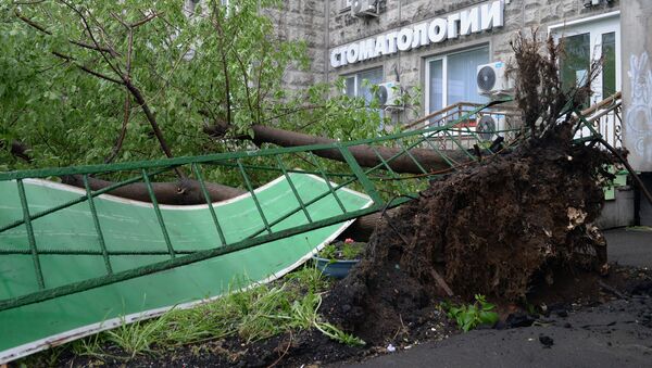 Последствия урагана в Москве - Sputnik Lietuva