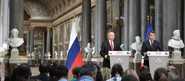 Официальный визит президента РФ В. Путина в Париж - Sputnik Литва