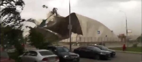 Ураган в Москве Ураган в Москве - Sputnik Lietuva