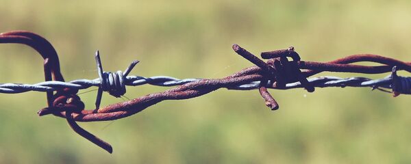 Колючая проволока - Sputnik Литва