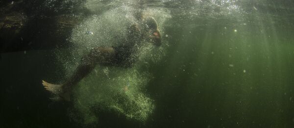 Ныряльщик - Sputnik Литва