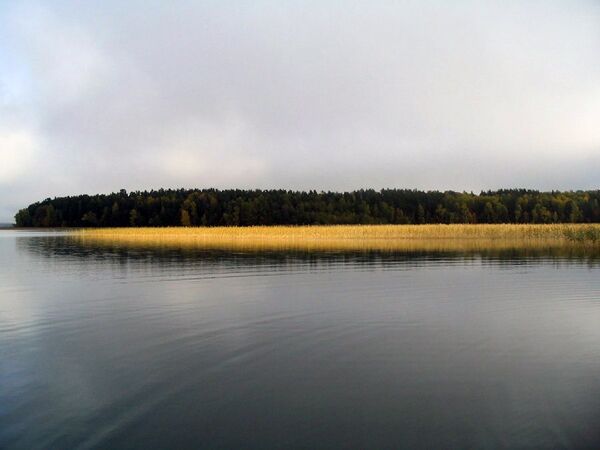 Ãlaušas — ežeras, telkšantis Utenos rajone, Lietuvoje. Alaušo gylis siekia net 42 metrus. Ežere yra 2 salos, kurių bendras plotas 5,3 hektarų. - Sputnik Lietuva