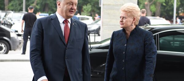 Dalia Grybauskaitė ir Petro Porošenko Dalia Grybauskaitė ir Petro Porošenko - Sputnik Lietuva