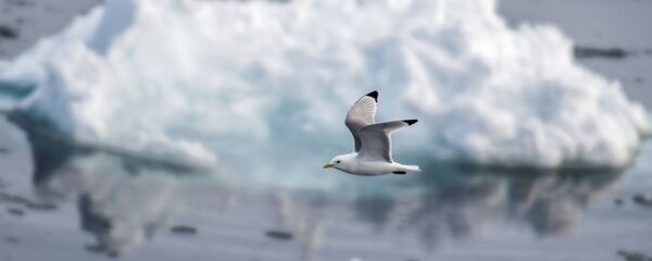 Арктическая экспедиция Кара-зима 2015 - Sputnik Литва