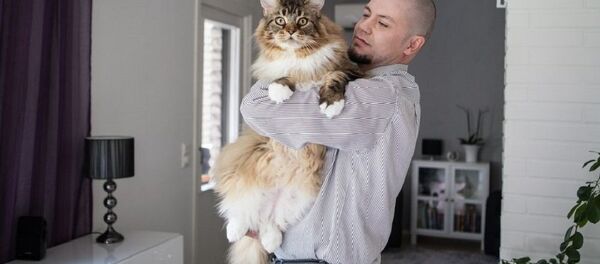 Домашний любимец финна Яна-Эрика Брууна весит 16 килограмм - Sputnik Lietuva