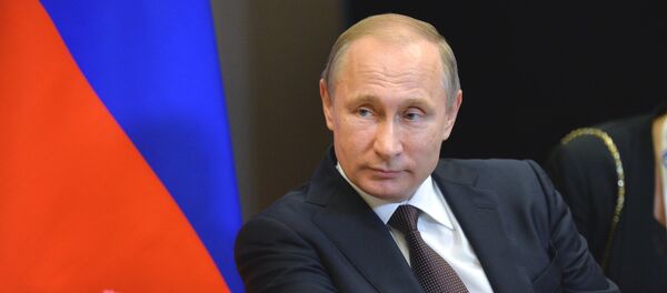 Двусторонняя встреча президента РФ В. Путина с президентом Индонезии Джоко Видодо - Sputnik Литва