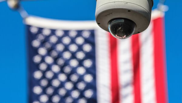 Камера видеонаблюдения и флаг США - Sputnik Lietuva