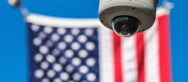 Камера видеонаблюдения и флаг США, архивное фото - Sputnik Литва