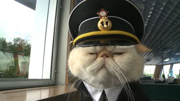 Хвостатый экипаж, или Как коты в форме служат на корабле и ходят в море - Sputnik Литва