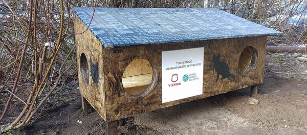 Домик для котов - Sputnik Lietuva