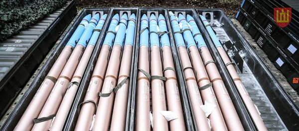 Sviediniai Sviediniai - Sputnik Lietuva