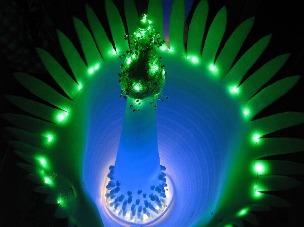 Выставка светящихся растений в ботаническом саду Выставка светящихся растений в ботаническом саду - Sputnik Lietuva